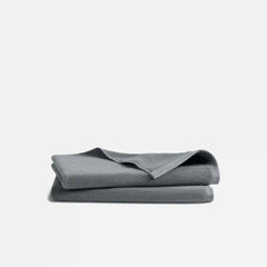 Plush Turkish Cotton Hand Towels Set of 2