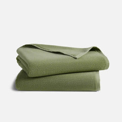 Plush Turkish Cotton Bath Sheets Set of 2
